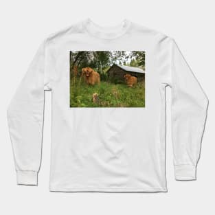 Scottish Highland Cattle Calves 1509 Long Sleeve T-Shirt